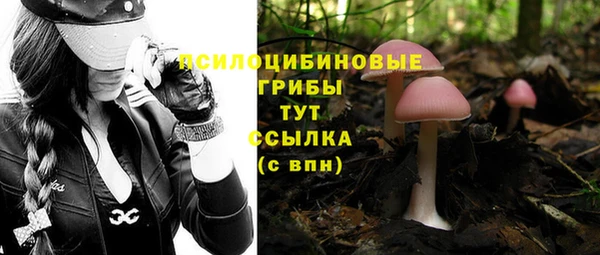 эйфоретик Киренск