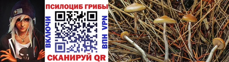 Галлюциногенные грибы прущие грибы  Купить где  Грязи 