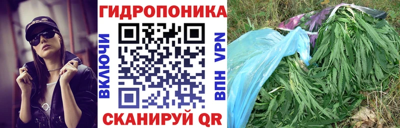 Канабис семена  Купить  Грязи 